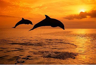 《巫师 3：狂猎》次世代版本免费更新，将与Netflix 剧集联动